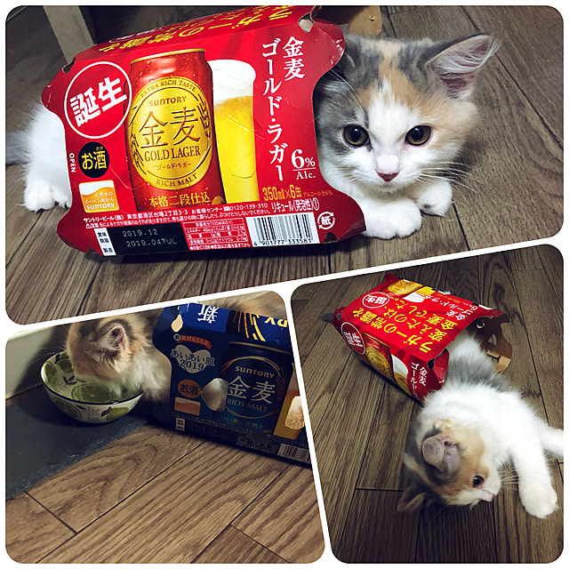 sayaoさんの実例写真