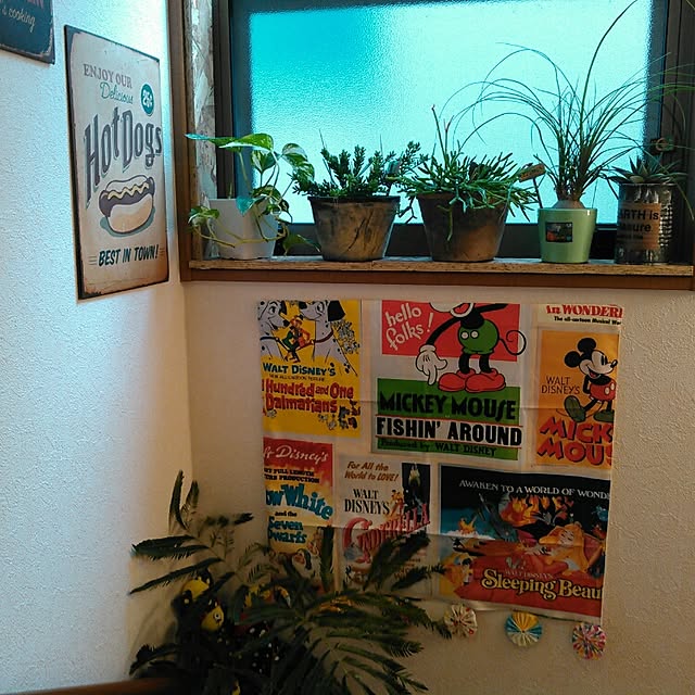 akr29さんの実例写真