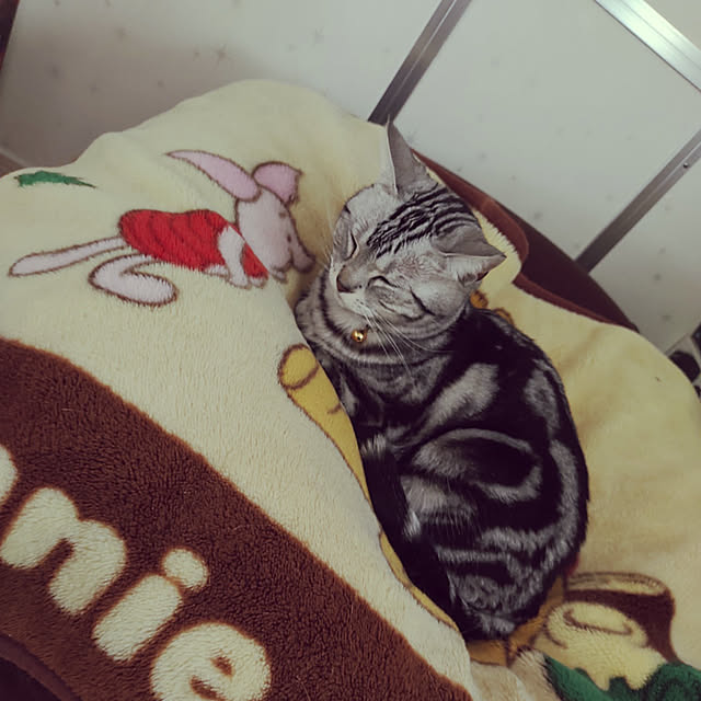 wahahaさんの実例写真