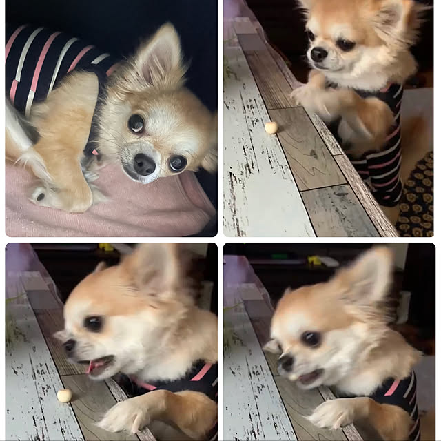 natsumiさんの実例写真
