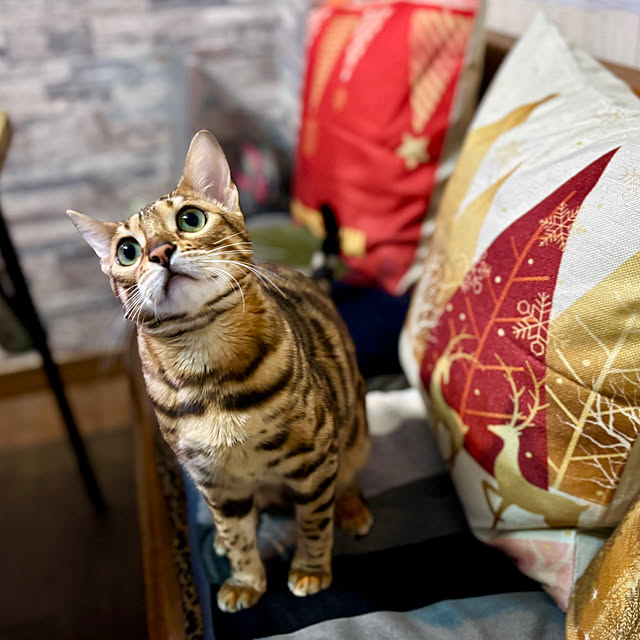 tututu0204さんの部屋