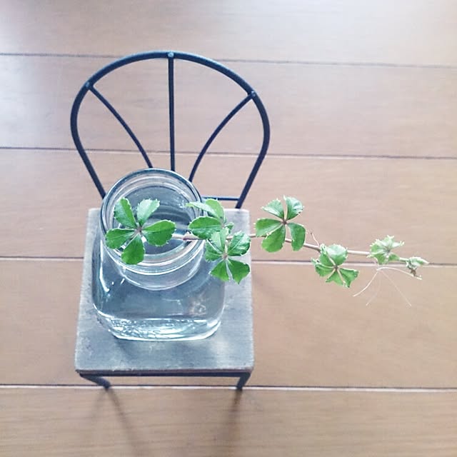 miporin0711さんの実例写真