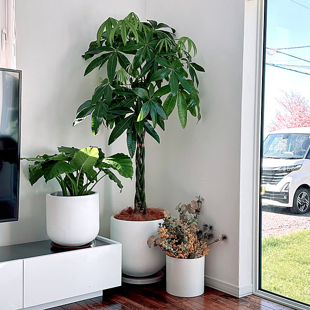 hanahana1444さんの部屋