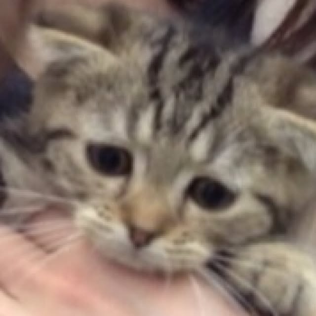 Yasumiさんの実例写真