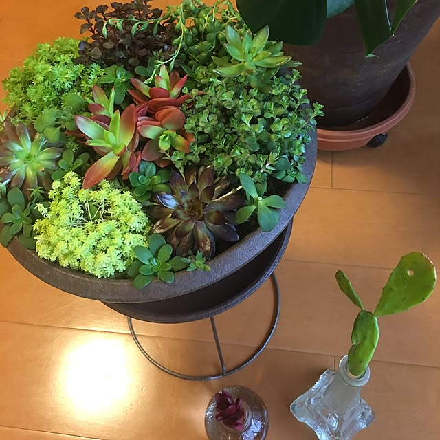 erikoさんの実例写真