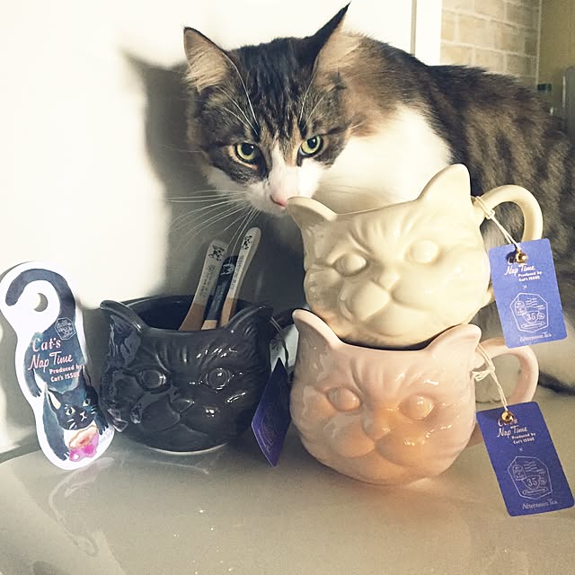 neco7さんの実例写真