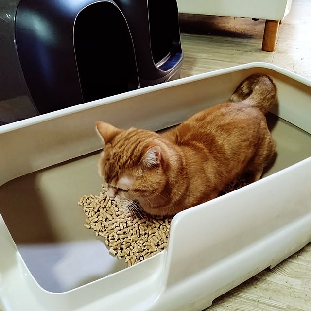 runaさんの実例写真