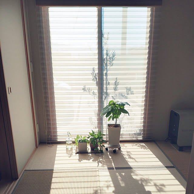 tan5さんの実例写真