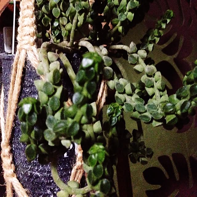 563kさんの実例写真