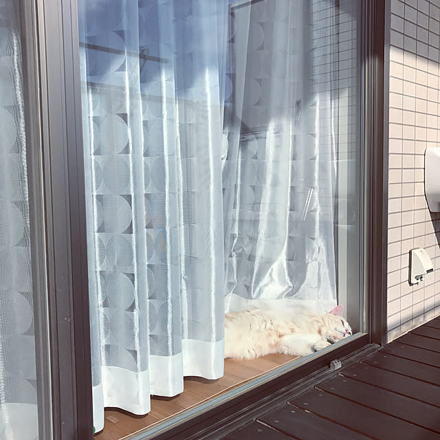hiyupan88さんの実例写真