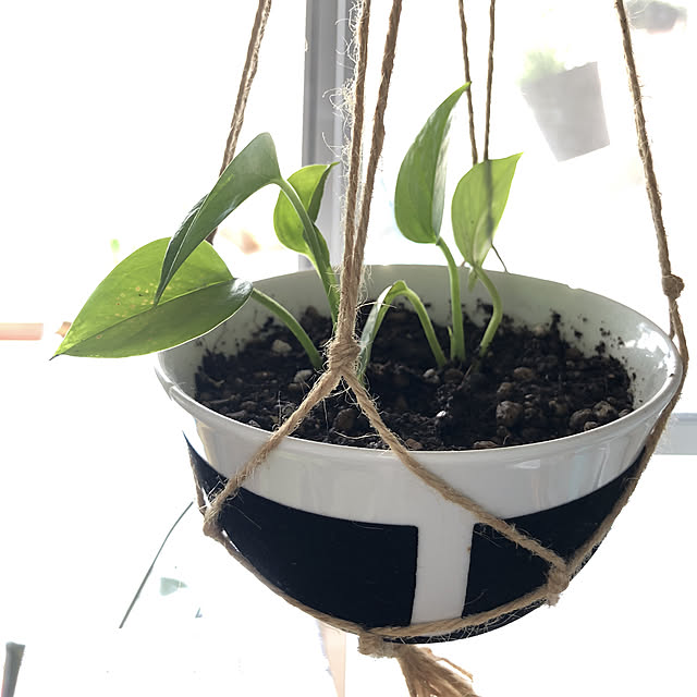 openさんの実例写真