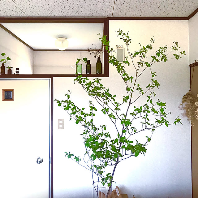 apiさんの実例写真