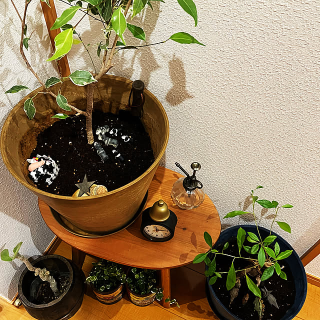 torroさんの実例写真