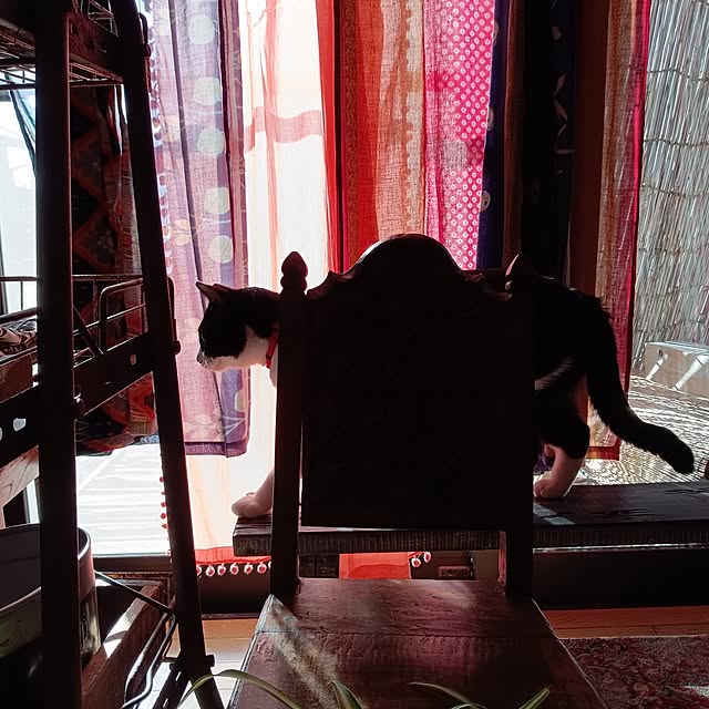 amoさんの部屋
