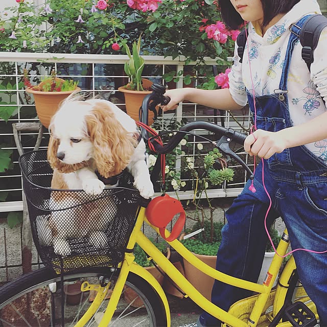 happy0612さんの実例写真