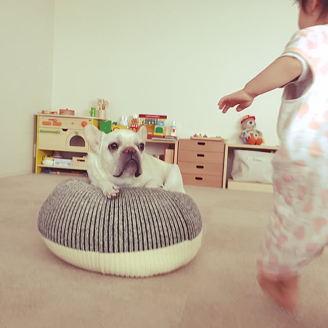 chiiさんの実例写真
