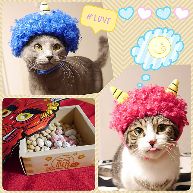 fukusukeさんの実例写真