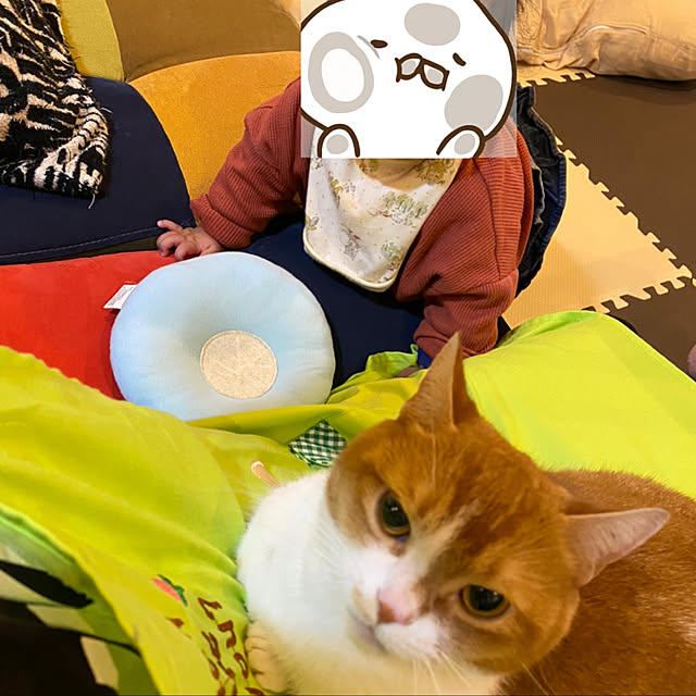 KotarouKunさんの実例写真