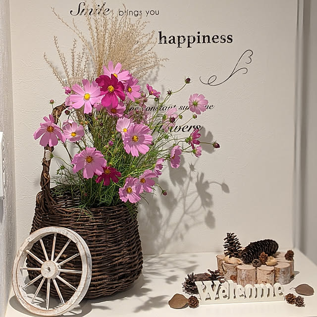 Sakura_hanaさんの実例写真
