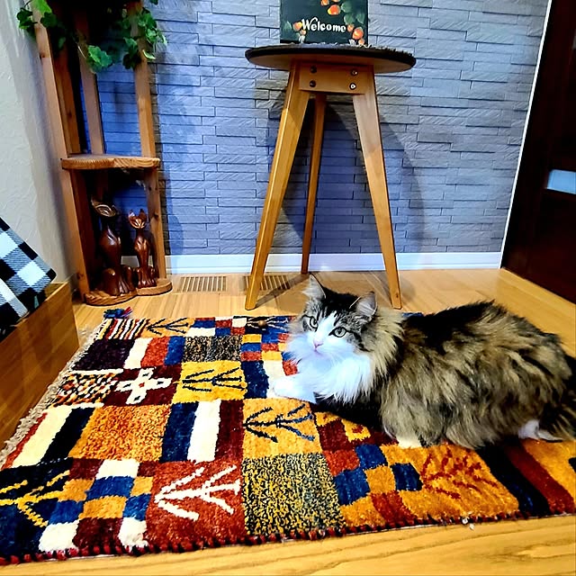akiko6193さんの部屋