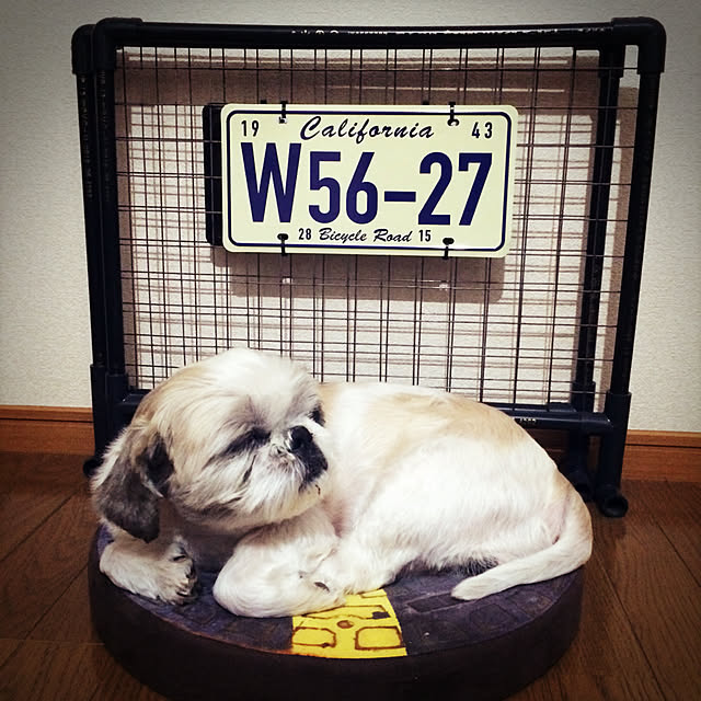 lenkaさんの実例写真