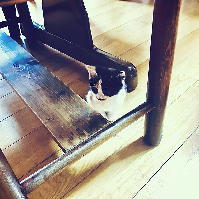 maroさんの実例写真