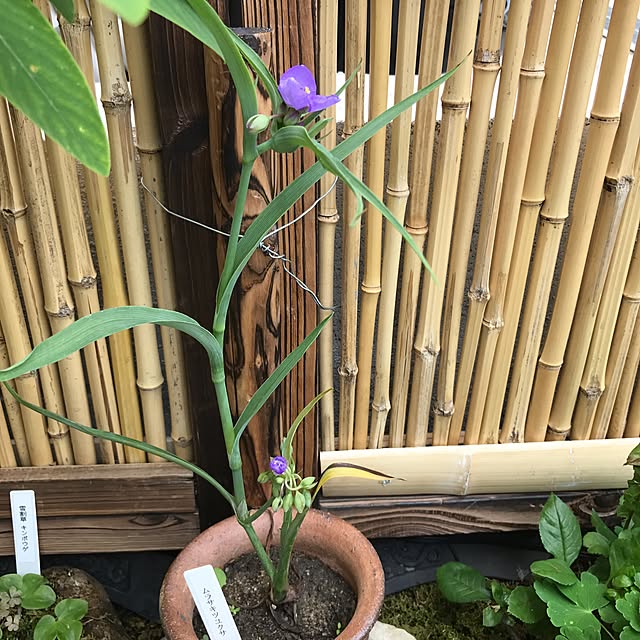 mamioさんの実例写真