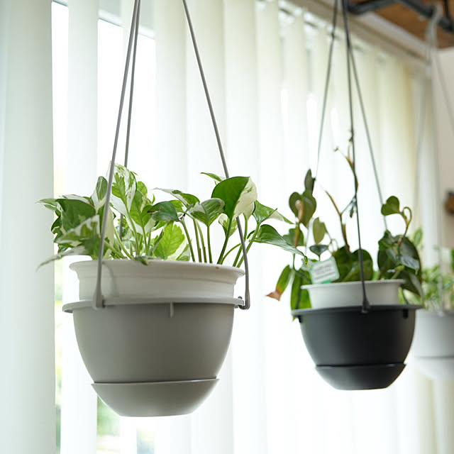 jijicoさんの部屋