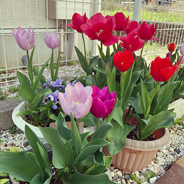 Rikimaさんの実例写真