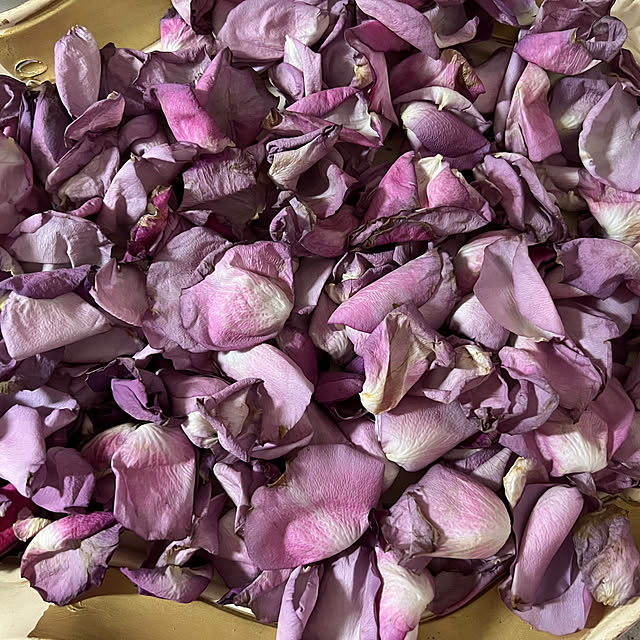 AYUKOさんの部屋