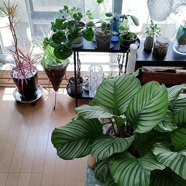 jinさんの部屋
