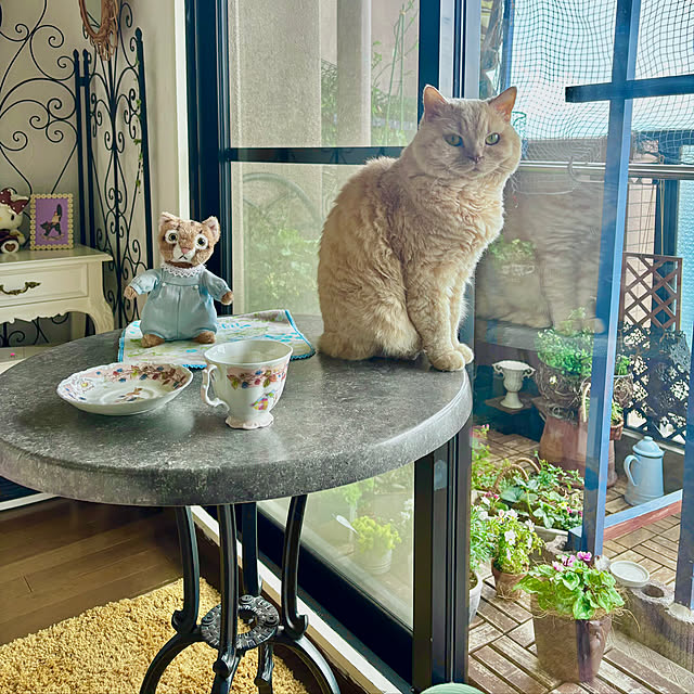 naokoさんの部屋