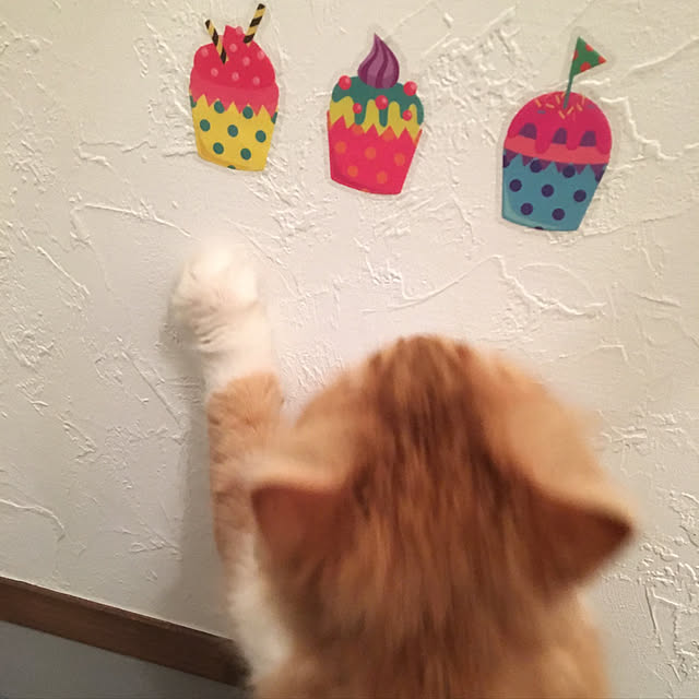 piyolandさんの実例写真