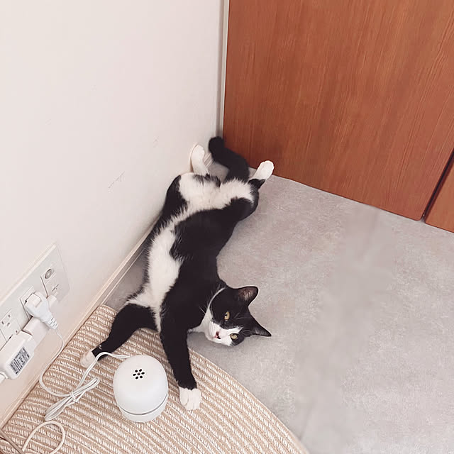 mako2yaさんの部屋