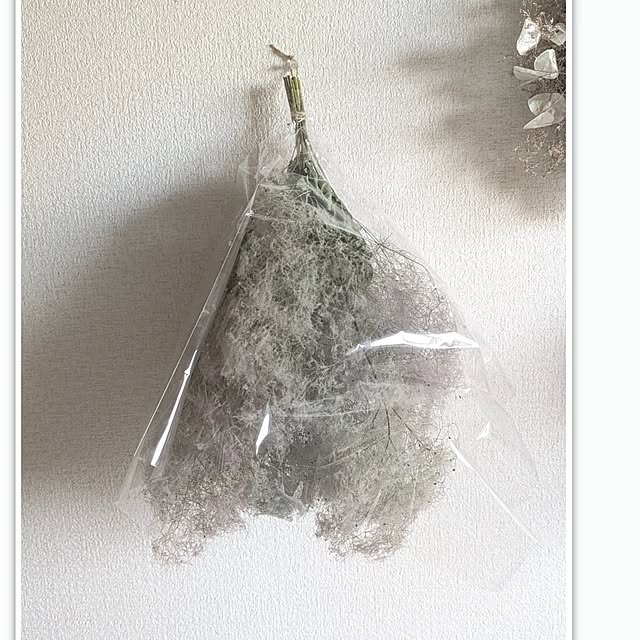monnさんの部屋