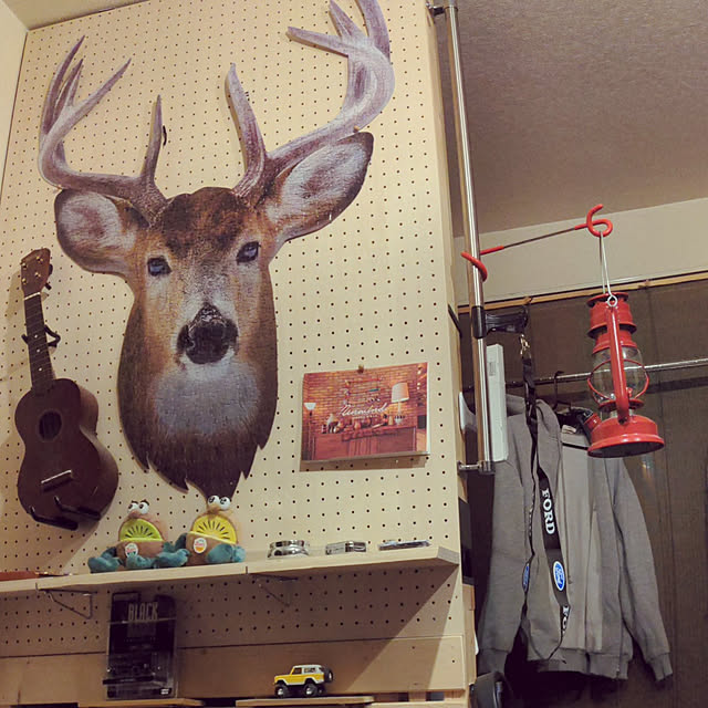 GINさんの実例写真