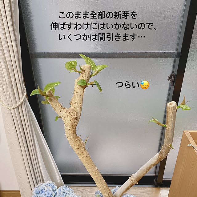 yukaさんの部屋