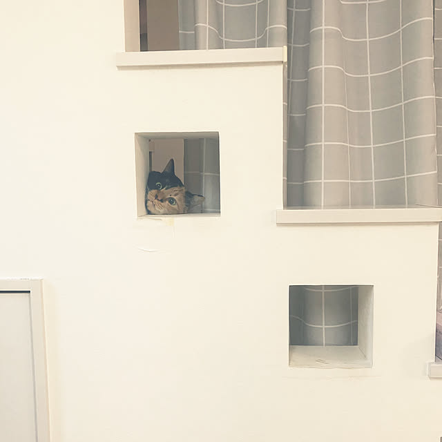 kuuaさんの実例写真