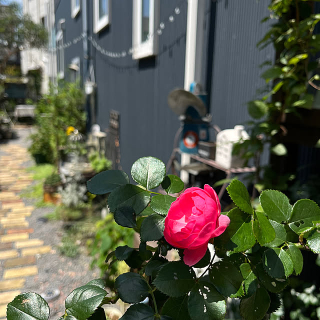 mayumiさんの部屋