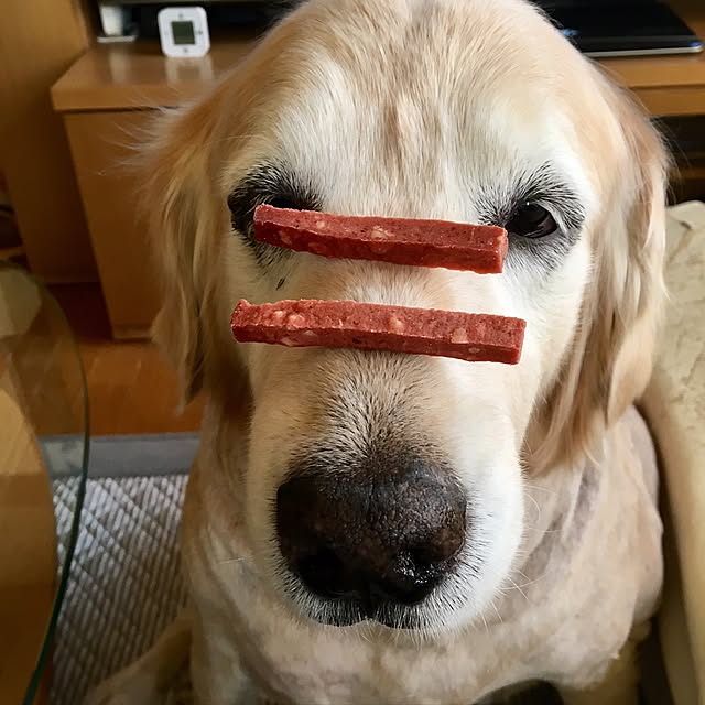 Poaluさんの実例写真