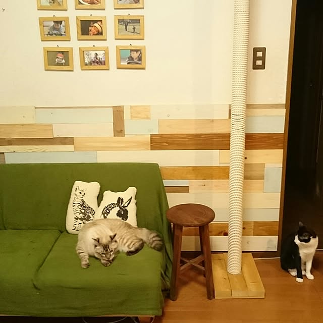 kazaneさんの実例写真