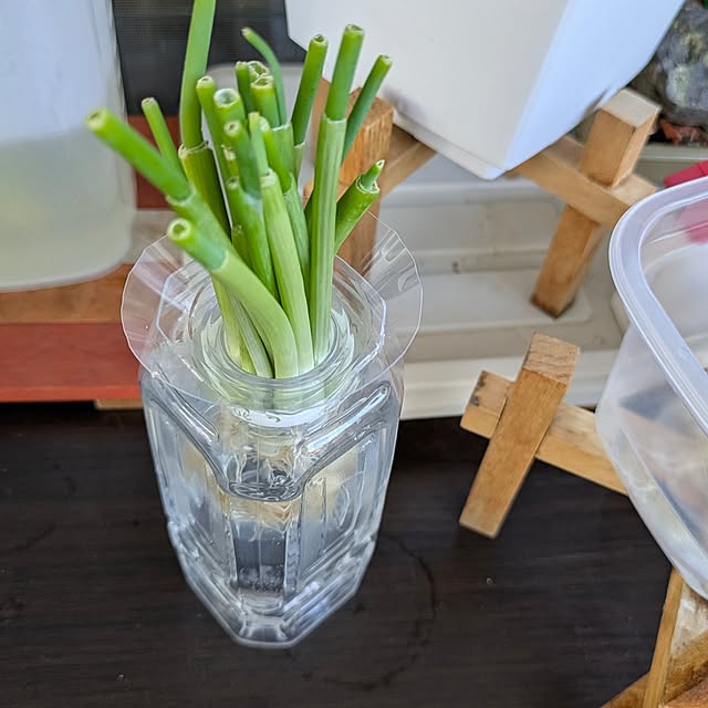 mi-saさんの部屋