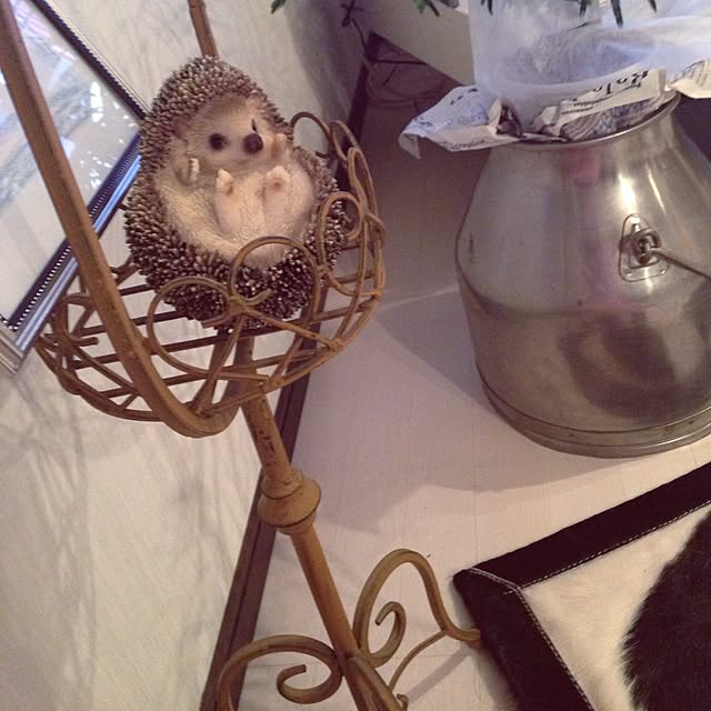Reiさんの実例写真
