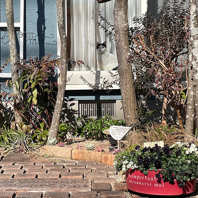 nobikoさんの部屋