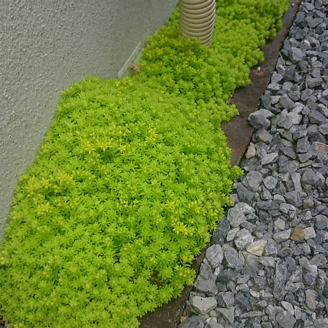 hideさんの実例写真