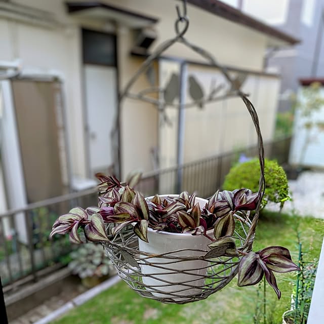 Renさんの実例写真