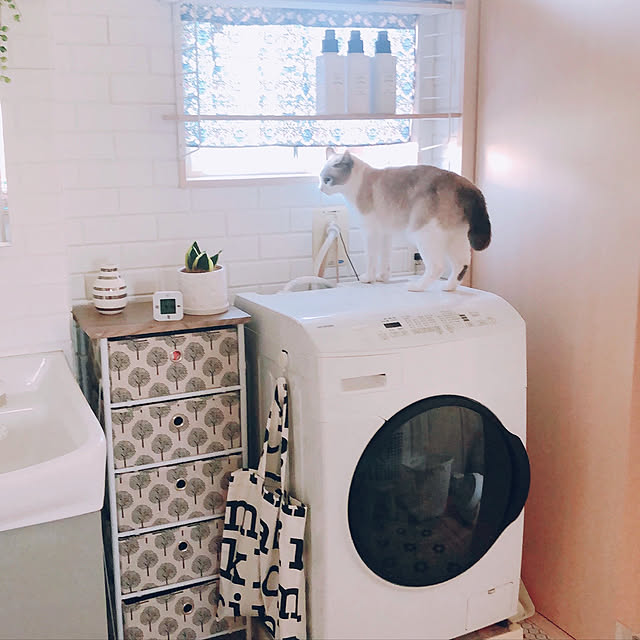 milkcocoaさんの実例写真