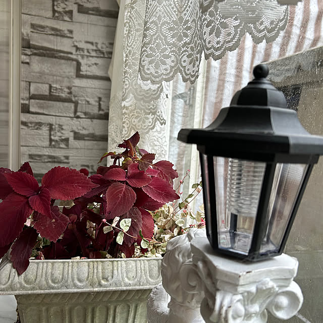 ikunyanさんの部屋