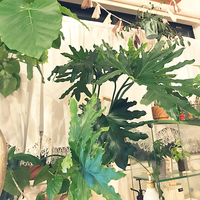 hirariさんの実例写真