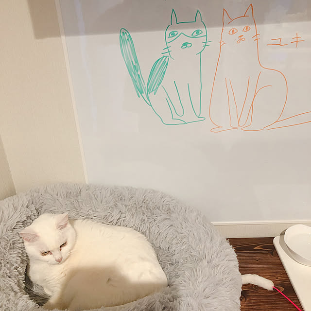 ha11na40さんの実例写真